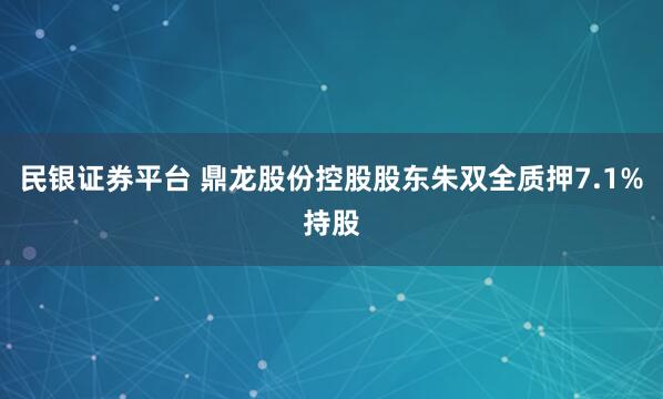 民银证券平台 鼎龙股份控股股东朱双全质押7.1%持股