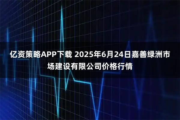 亿资策略APP下载 2025年6月24日嘉善绿洲市场建设有限公司价格行情