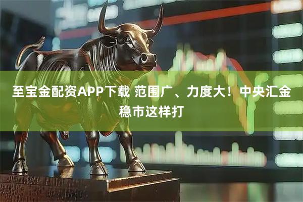 至宝金配资APP下载 范围广、力度大！中央汇金稳市这样打