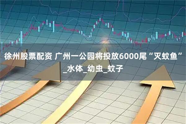 徐州股票配资 广州一公园将投放6000尾“灭蚊鱼”_水体_幼虫_蚊子
