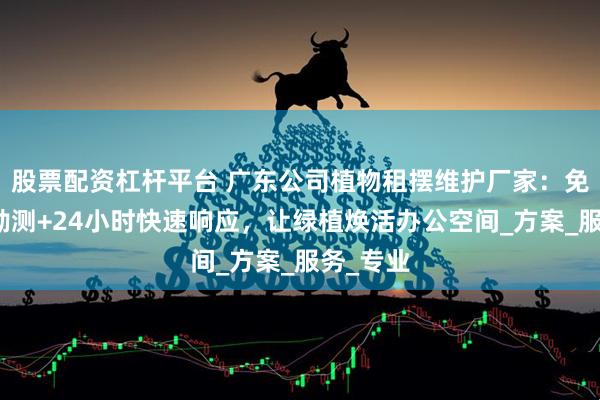 股票配资杠杆平台 广东公司植物租摆维护厂家：免费上门勘测+24小时快速响应，让绿植焕活办公空间_方案_服务_专业